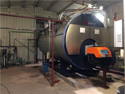 WNS dujinis dyzelinis 6000 kg garo katilas Kinijoje